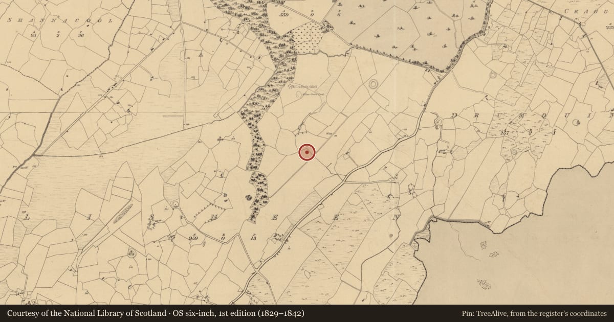 Ordnance Survey six-inch map, 1st edition (1829–1842) covering the location of Fulacht fia, Lisheen, County Clare, with a pin at the register's coordinates