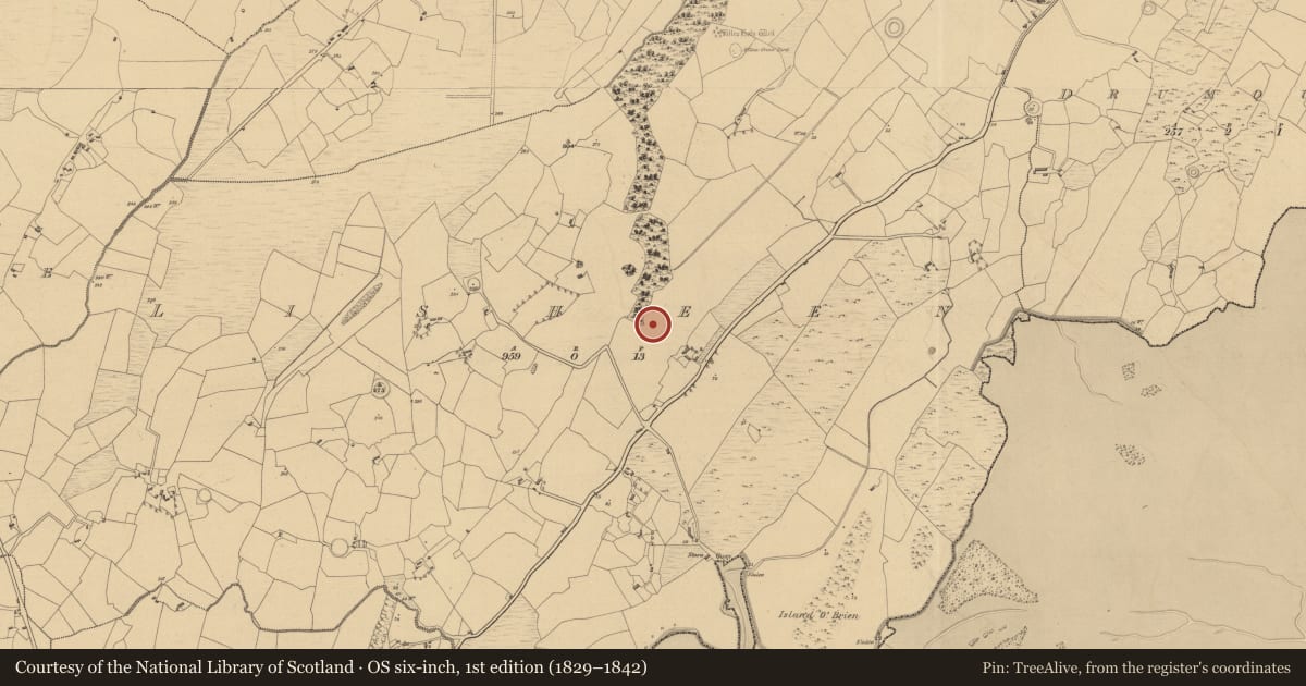 Ordnance Survey six-inch map, 1st edition (1829–1842) covering the location of Excavation - miscellaneous, Lisheen, County Clare, with a pin at the register's coordinates