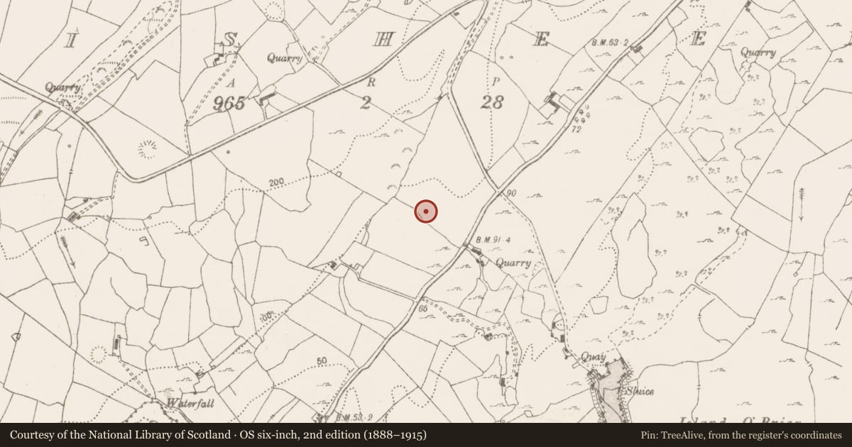 Ordnance Survey six-inch map, 2nd edition (1888–1915) covering the location of Burnt mound, Lisheen, County Clare, with a pin at the register's coordinates