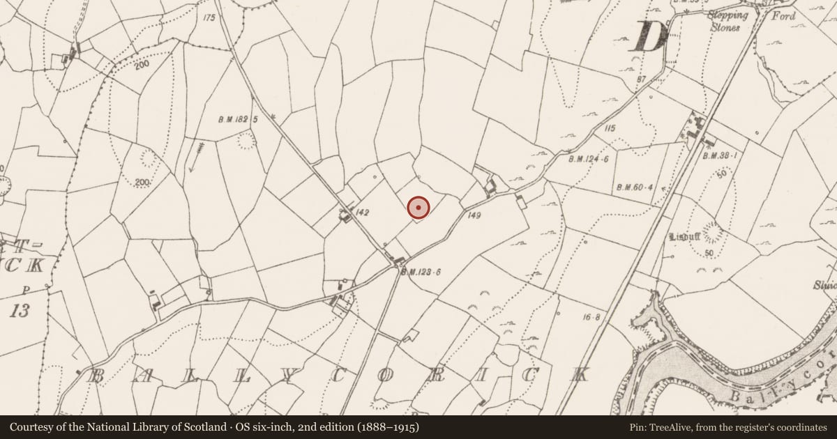 Ordnance Survey six-inch map, 2nd edition (1888–1915) covering the location of Metalworking site, Ballycorick, County Clare, with a pin at the register's coordinates