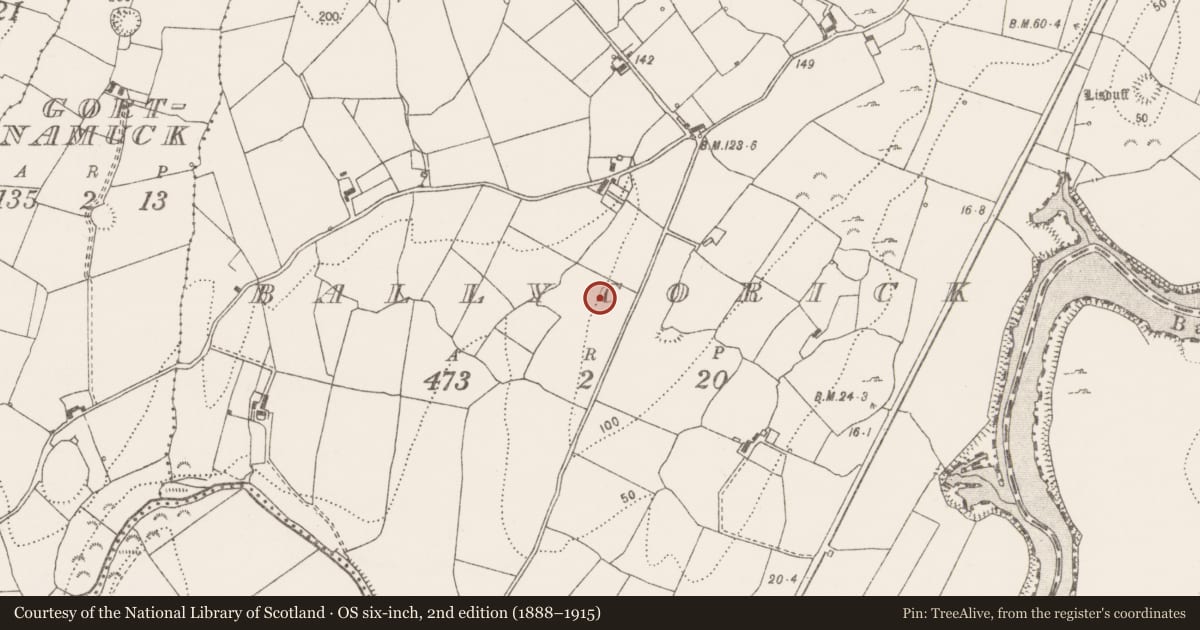 Ordnance Survey six-inch map, 2nd edition (1888–1915) covering the location of Burnt spread, Ballycorick, County Clare, with a pin at the register's coordinates
