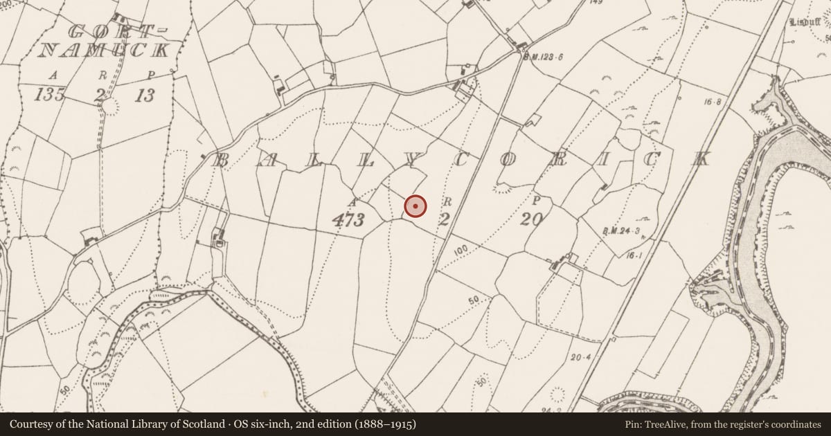 Ordnance Survey six-inch map, 2nd edition (1888–1915) covering the location of Burnt spread, Ballycorick, County Clare, with a pin at the register's coordinates