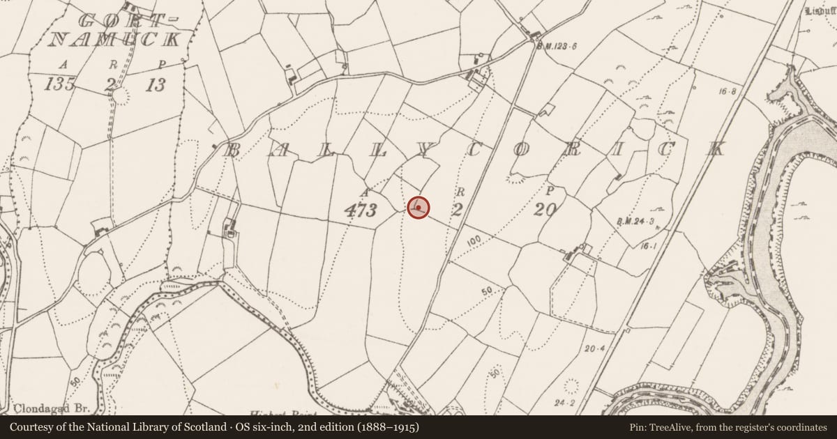 Ordnance Survey six-inch map, 2nd edition (1888–1915) covering the location of Burnt pit, Ballycorick, County Clare, with a pin at the register's coordinates