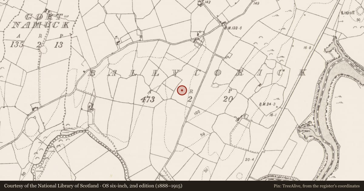 Ordnance Survey six-inch map, 2nd edition (1888–1915) covering the location of Burnt pit, Ballycorick, County Clare, with a pin at the register's coordinates