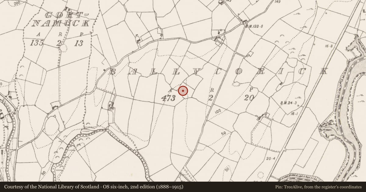 Ordnance Survey six-inch map, 2nd edition (1888–1915) covering the location of Burnt spread, Ballycorick, County Clare, with a pin at the register's coordinates