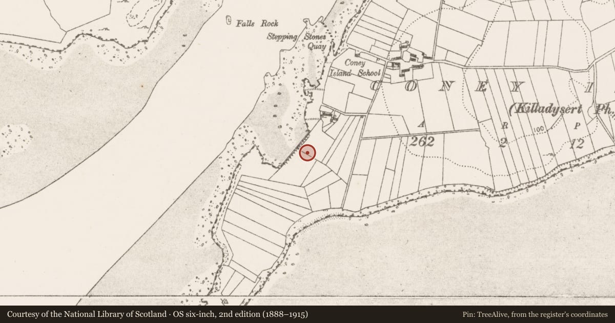 Ordnance Survey six-inch map, 2nd edition (1888–1915) covering the location of Enclosure, Coney Island, County Clare, with a pin at the register's coordinates