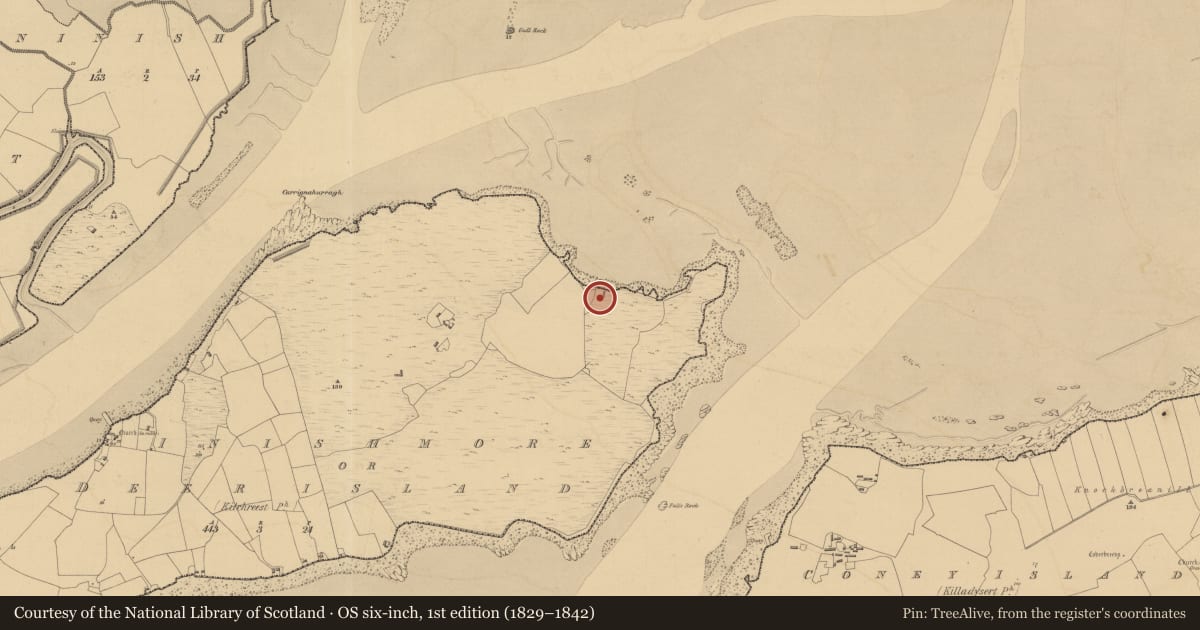 Ordnance Survey six-inch map, 1st edition (1829–1842) covering the location of Enclosure, Inishmore Or Deer Island, County Clare, with a pin at the register's coordinates
