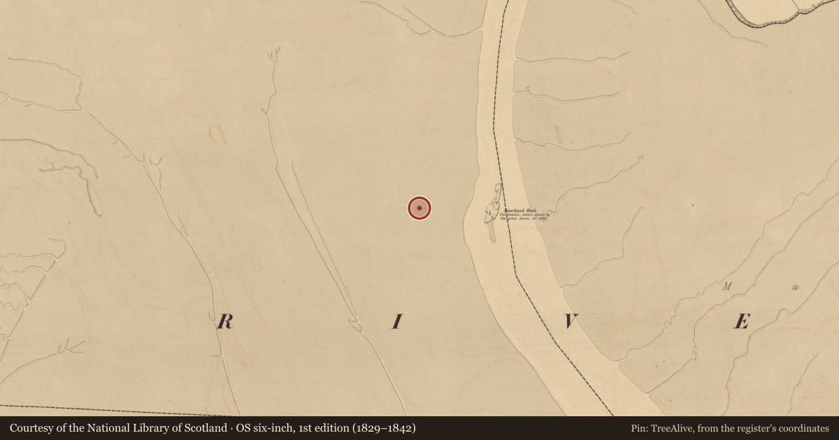 Ordnance Survey six-inch map, 1st edition (1829–1842) covering the location of Weir - fish, River Fergus, County Clare, with a pin at the register's coordinates