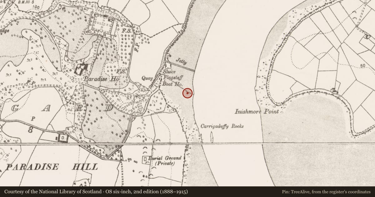 Ordnance Survey six-inch map, 2nd edition (1888–1915) covering the location of Weir - fish, Ballynacally, River Fergus, County Clare, with a pin at the register's coordinates