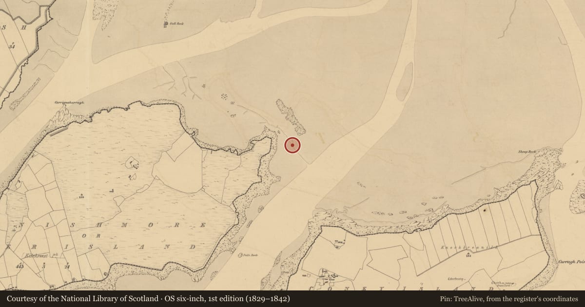 Ordnance Survey six-inch map, 1st edition (1829–1842) covering the location of Weir - fish, River Fergus, Inishmore Or Deer Island, County Clare, with a pin at the register's coordinates