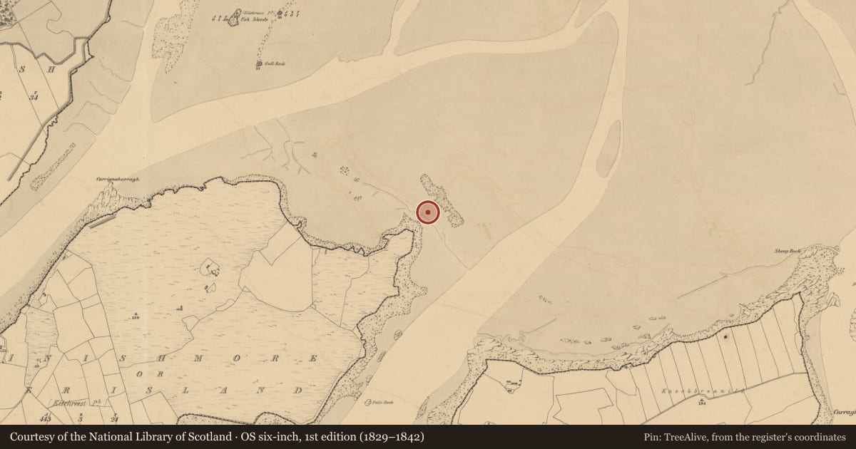 Ordnance Survey six-inch map, 1st edition (1829–1842) covering the location of Structure, Inishmore Or Deer Island, River Fergus, County Clare, with a pin at the register's coordinates