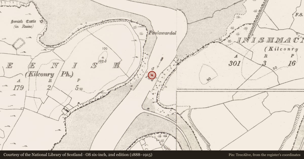 Ordnance Survey six-inch map, 2nd edition (1888–1915) covering the location of Causeway, Feenish, Inishmacnaghtan, County Clare, with a pin at the register's coordinates