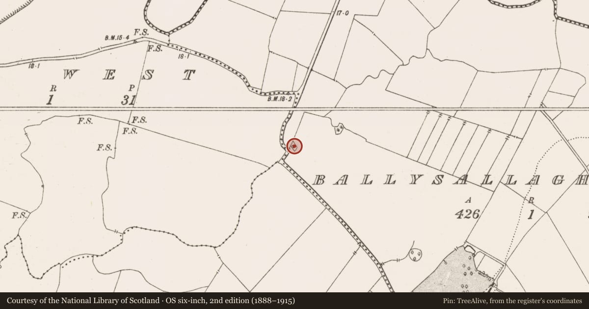 Ordnance Survey six-inch map, 2nd edition (1888–1915) covering the location of Enclosure, Ballysallagh West, County Clare, with a pin at the register's coordinates