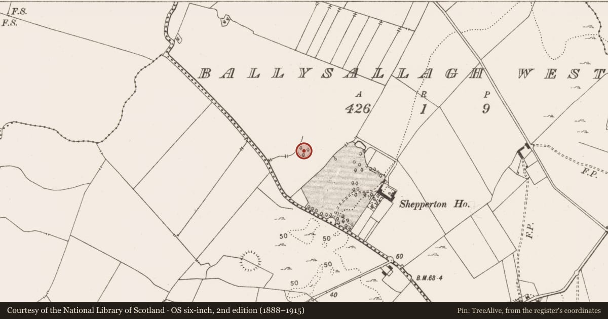 Ordnance Survey six-inch map, 2nd edition (1888–1915) covering the location of Enclosure, Ballysallagh West, County Clare, with a pin at the register's coordinates