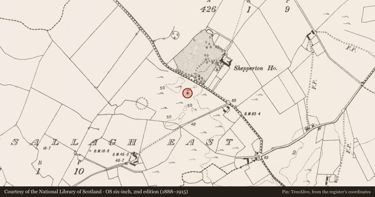 Ordnance Survey six-inch map, 2nd edition (1888–1915) covering the location of Enclosure, Ballysallagh East, County Clare, with a pin at the register's coordinates