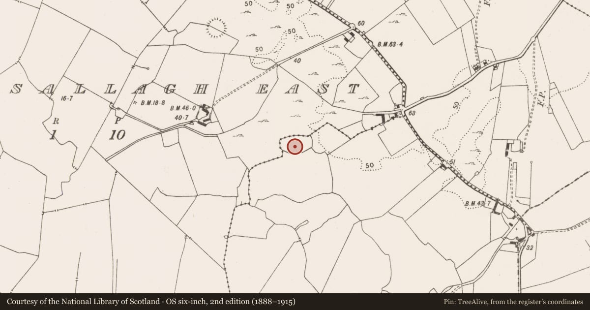 Ordnance Survey six-inch map, 2nd edition (1888–1915) covering the location of Enclosure, Treannahow, County Clare, with a pin at the register's coordinates