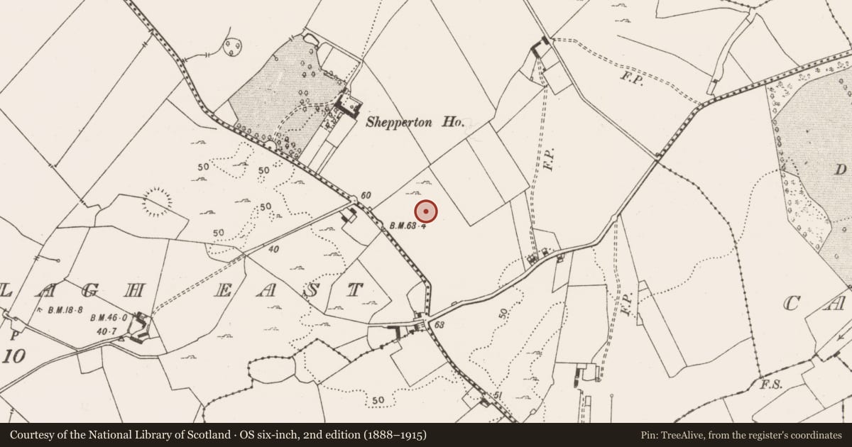 Ordnance Survey six-inch map, 2nd edition (1888–1915) covering the location of Enclosure, Ballysallagh West, County Clare, with a pin at the register's coordinates