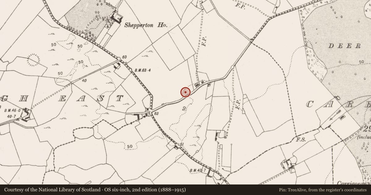 Ordnance Survey six-inch map, 2nd edition (1888–1915) covering the location of Field system, Ballysallagh West, County Clare, with a pin at the register's coordinates
