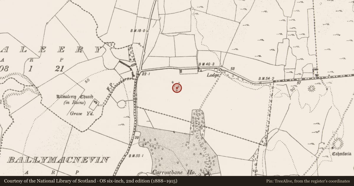 Ordnance Survey six-inch map, 2nd edition (1888–1915) covering the location of Enclosure, Urlan More, County Clare, with a pin at the register's coordinates