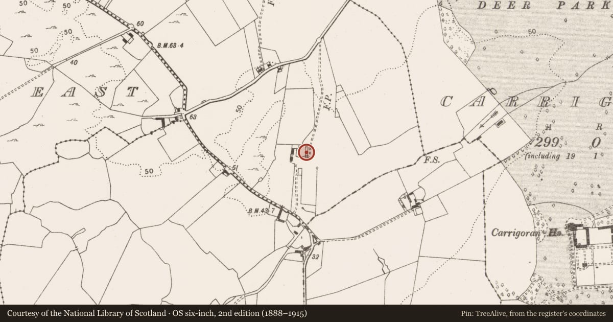 Ordnance Survey six-inch map, 2nd edition (1888–1915) covering the location of House - fortified house, Ballysallagh West, County Clare, with a pin at the register's coordinates