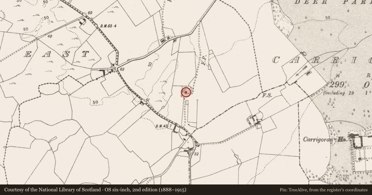 Ordnance Survey six-inch map, 2nd edition (1888–1915) covering the location of Bawn, Ballysallagh West, County Clare, with a pin at the register's coordinates