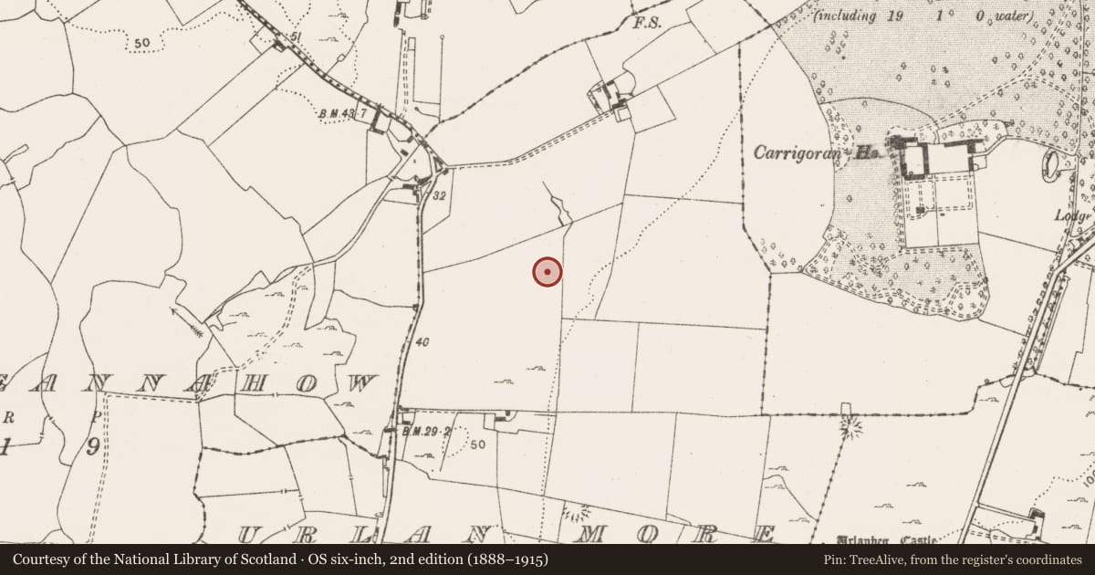 Ordnance Survey six-inch map, 2nd edition (1888–1915) covering the location of Enclosure, Urlan More, County Clare, with a pin at the register's coordinates