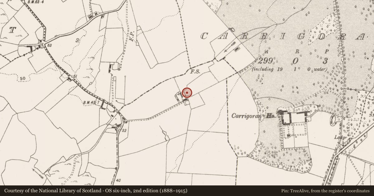 Ordnance Survey six-inch map, 2nd edition (1888–1915) covering the location of Ringfort - cashel, Urlan More, County Clare, with a pin at the register's coordinates