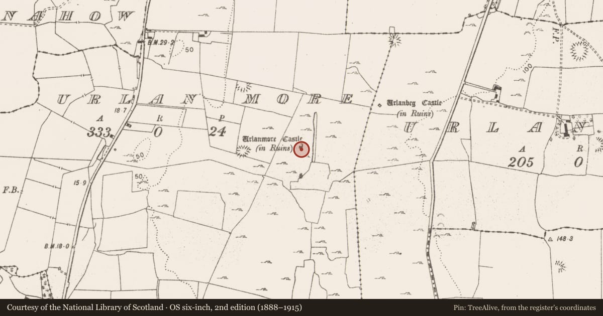Ordnance Survey six-inch map, 2nd edition (1888–1915) covering the location of Castle - tower house, Urlan More, County Clare, with a pin at the register's coordinates