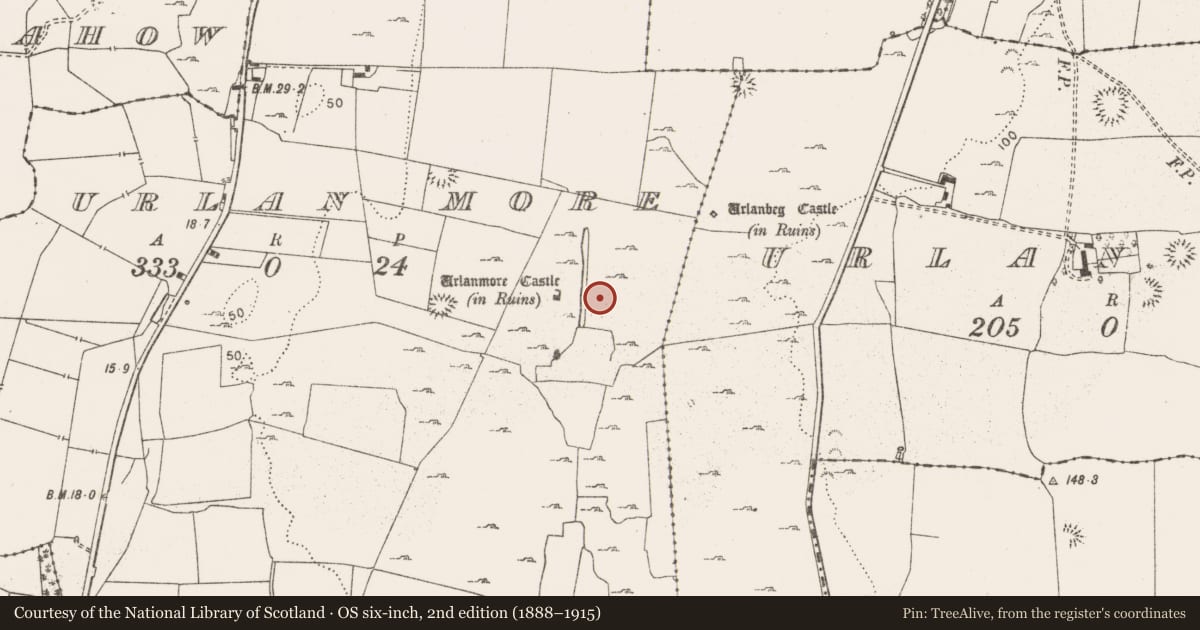 Ordnance Survey six-inch map, 2nd edition (1888–1915) covering the location of Field system, Urlan Beg, Urlan More, County Clare, with a pin at the register's coordinates