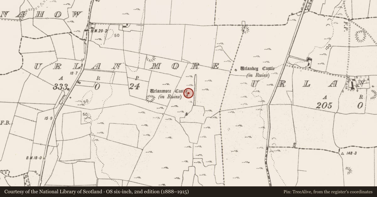 Ordnance Survey six-inch map, 2nd edition (1888–1915) covering the location of Bawn, Urlan More, County Clare, with a pin at the register's coordinates