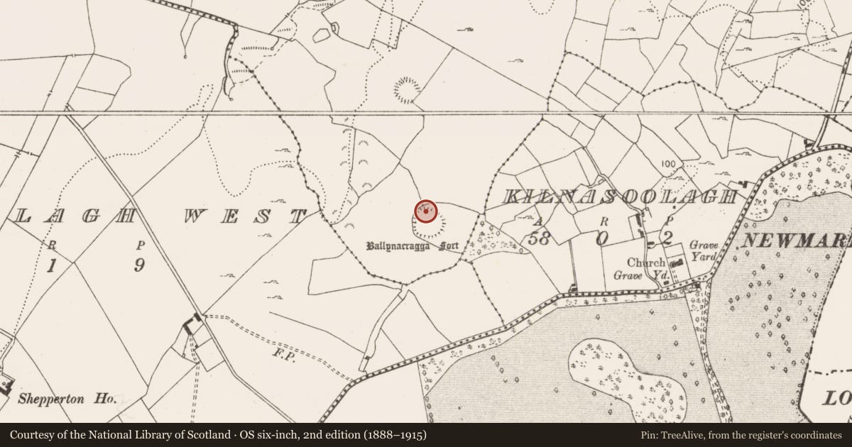 Ordnance Survey six-inch map, 2nd edition (1888–1915) covering the location of Ringfort - unclassified, Ballynacragga, County Clare, with a pin at the register's coordinates