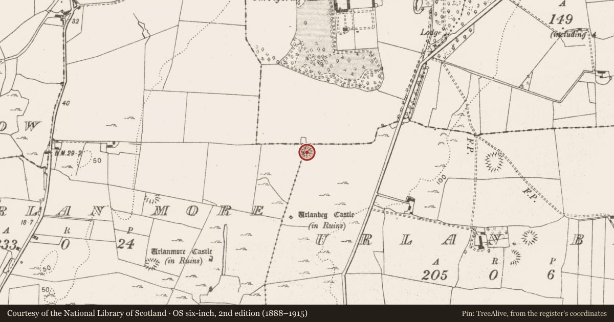 Ordnance Survey six-inch map, 2nd edition (1888–1915) covering the location of Ringfort - rath, Urlan Beg, Urlan More, County Clare, with a pin at the register's coordinates