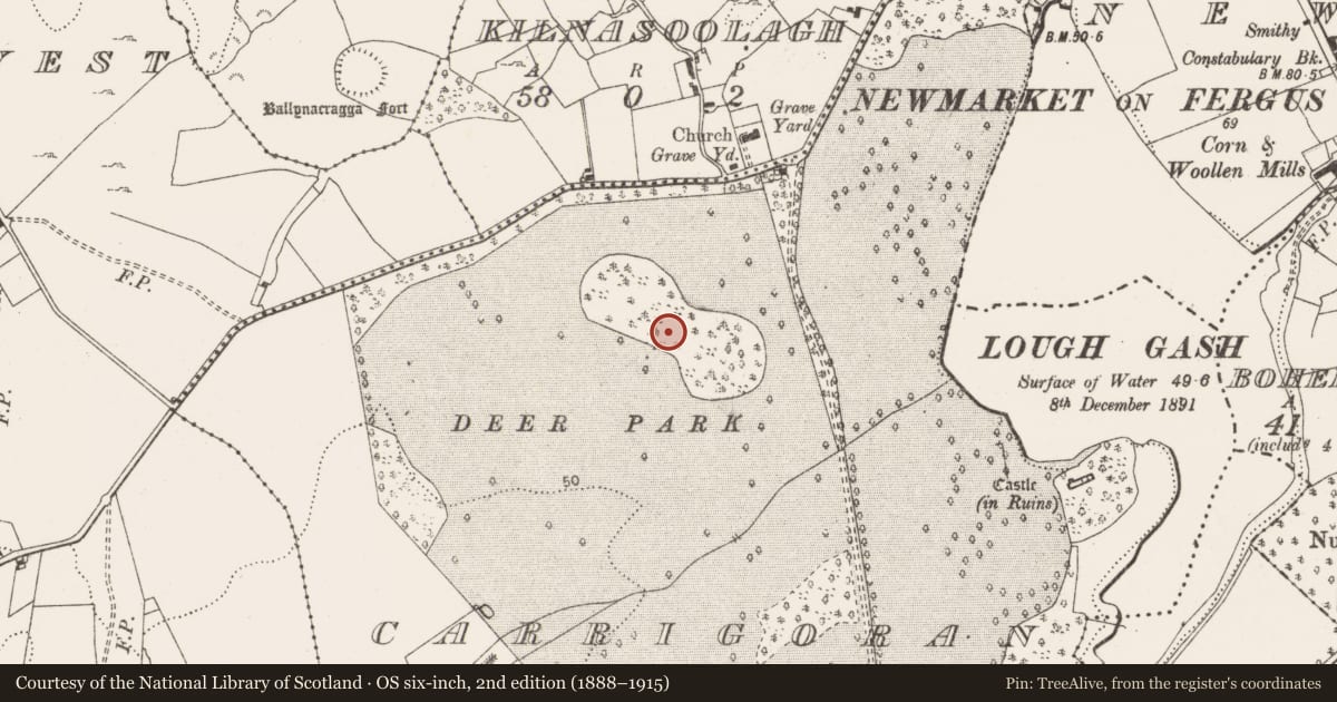 Ordnance Survey six-inch map, 2nd edition (1888–1915) covering the location of Enclosure, Carrigoran, County Clare, with a pin at the register's coordinates