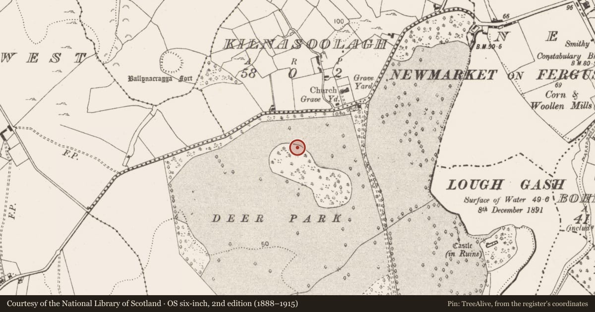 Ordnance Survey six-inch map, 2nd edition (1888–1915) covering the location of Quarry, Carrigoran, County Clare, with a pin at the register's coordinates