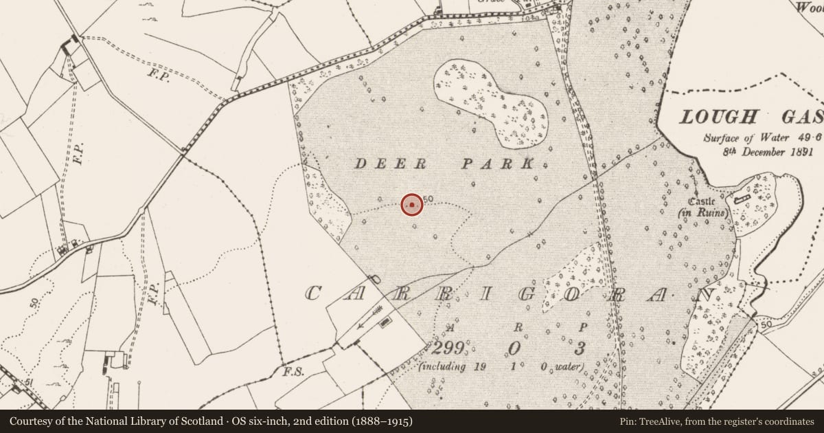 Ordnance Survey six-inch map, 2nd edition (1888–1915) covering the location of Kiln - corn-drying, Carrigoran, County Clare, with a pin at the register's coordinates