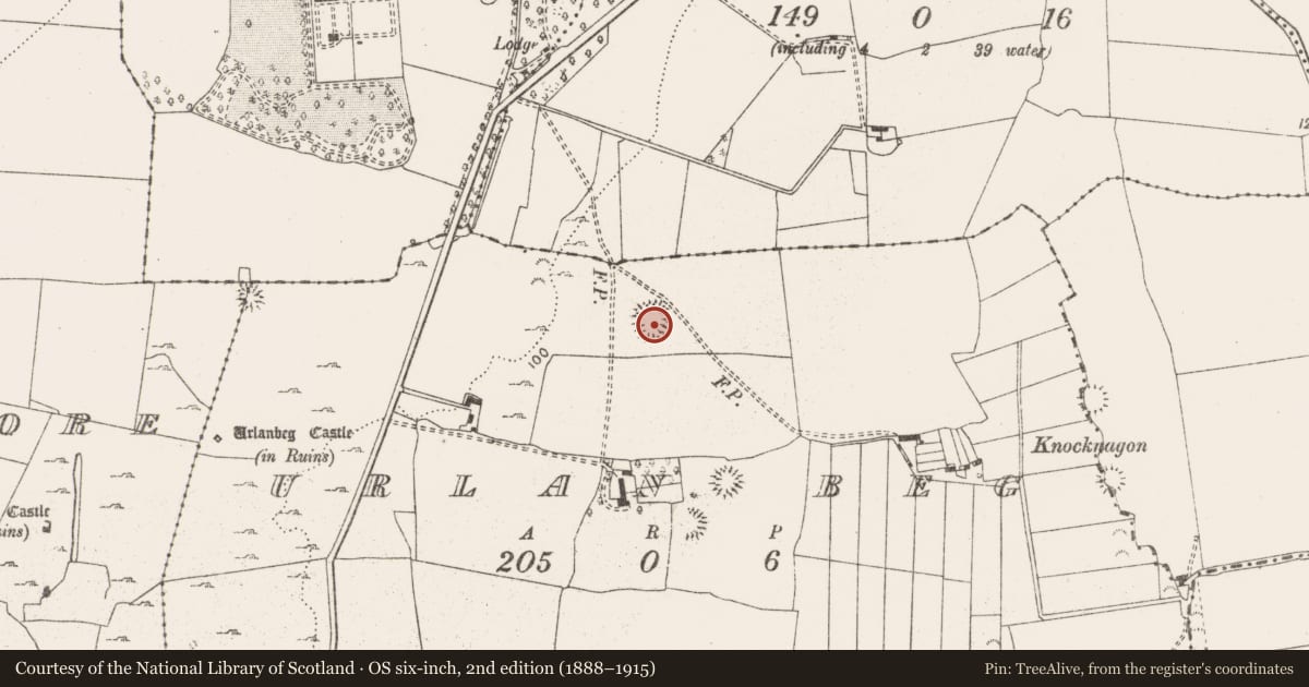Ordnance Survey six-inch map, 2nd edition (1888–1915) covering the location of Ringfort - unclassified, Urlan Beg, County Clare, with a pin at the register's coordinates