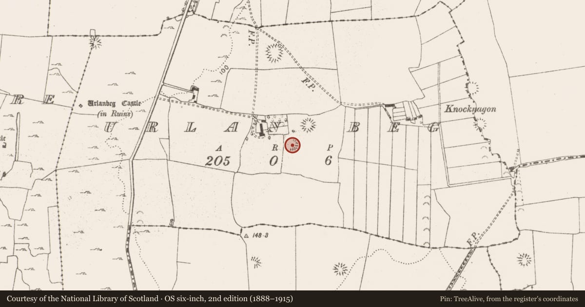 Ordnance Survey six-inch map, 2nd edition (1888–1915) covering the location of Enclosure, Urlan Beg, County Clare, with a pin at the register's coordinates