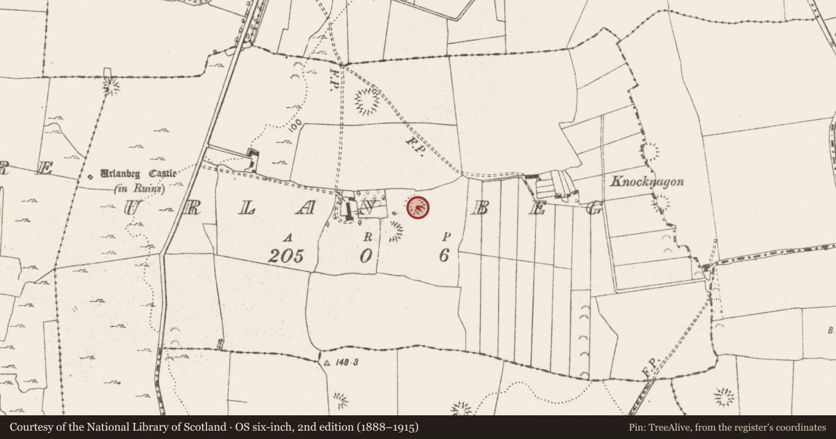 Ordnance Survey six-inch map, 2nd edition (1888–1915) covering the location of Enclosure, Urlan Beg, County Clare, with a pin at the register's coordinates