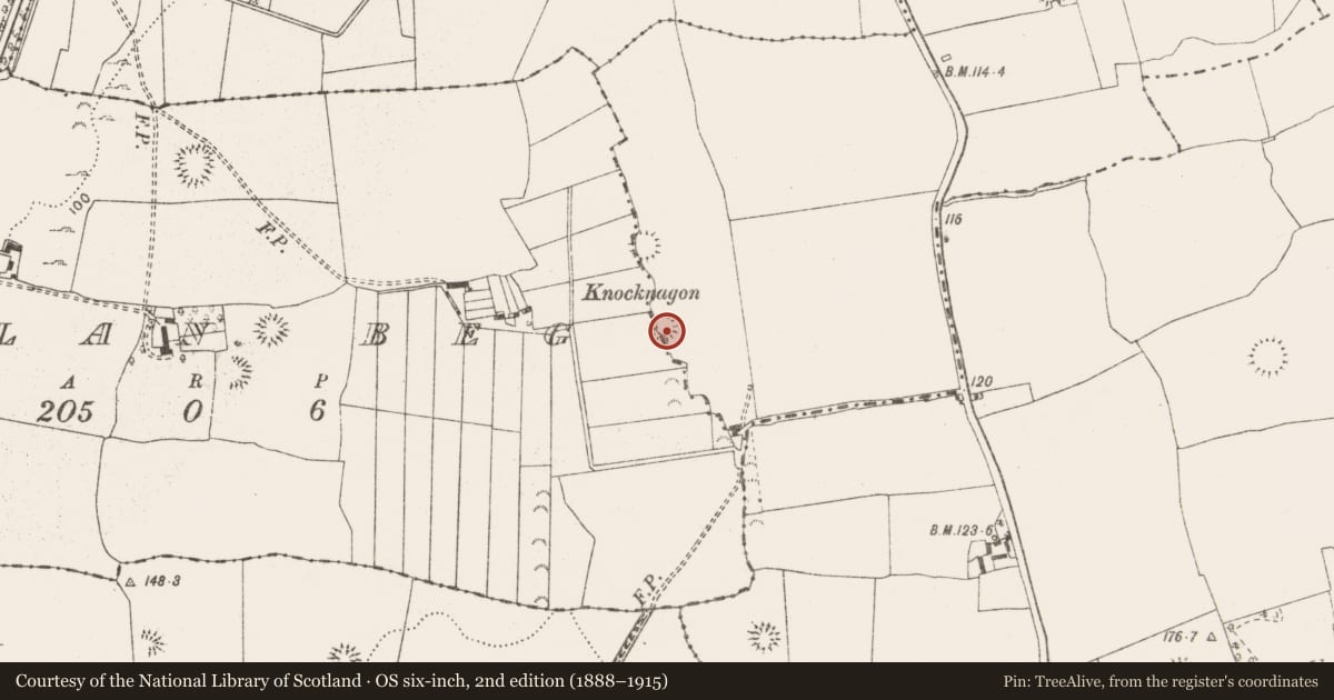 Ordnance Survey six-inch map, 2nd edition (1888–1915) covering the location of Ringfort - rath, Lisduff, Urlan Beg, County Clare, with a pin at the register's coordinates