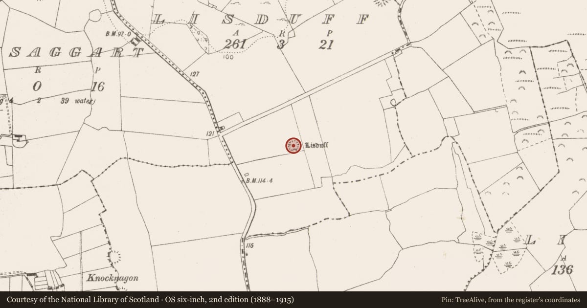 Ordnance Survey six-inch map, 2nd edition (1888–1915) covering the location of Ringfort - rath, Lisduff, County Clare, with a pin at the register's coordinates