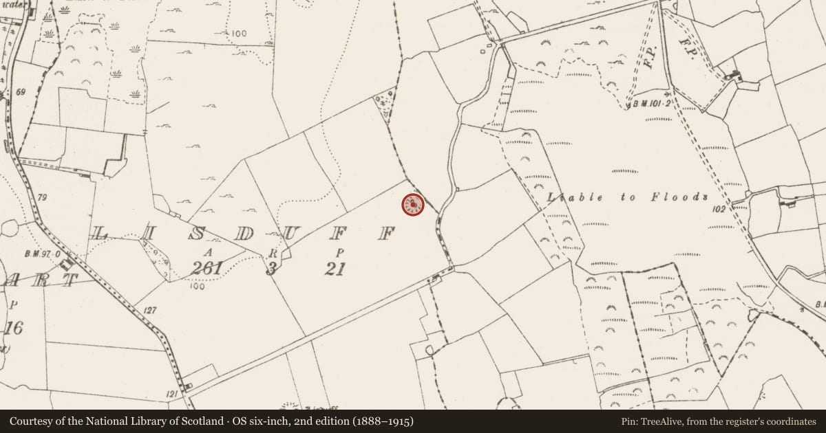 Ordnance Survey six-inch map, 2nd edition (1888–1915) covering the location of Ringfort - rath, Lisduff, County Clare, with a pin at the register's coordinates