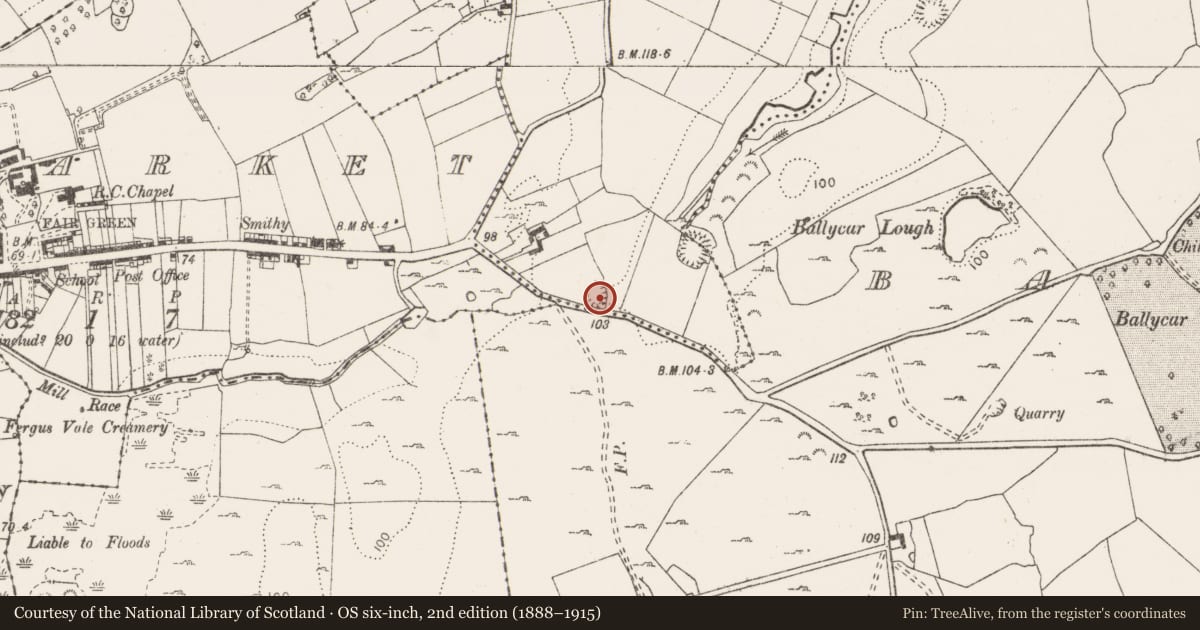 Ordnance Survey six-inch map, 2nd edition (1888–1915) covering the location of Enclosure, Carrownakilly, County Clare, with a pin at the register's coordinates