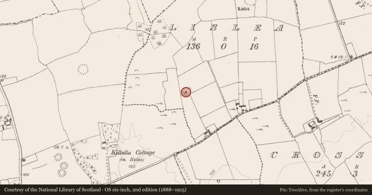 Ordnance Survey six-inch map, 2nd edition (1888–1915) covering the location of Enclosure, Lislea, County Clare, with a pin at the register's coordinates