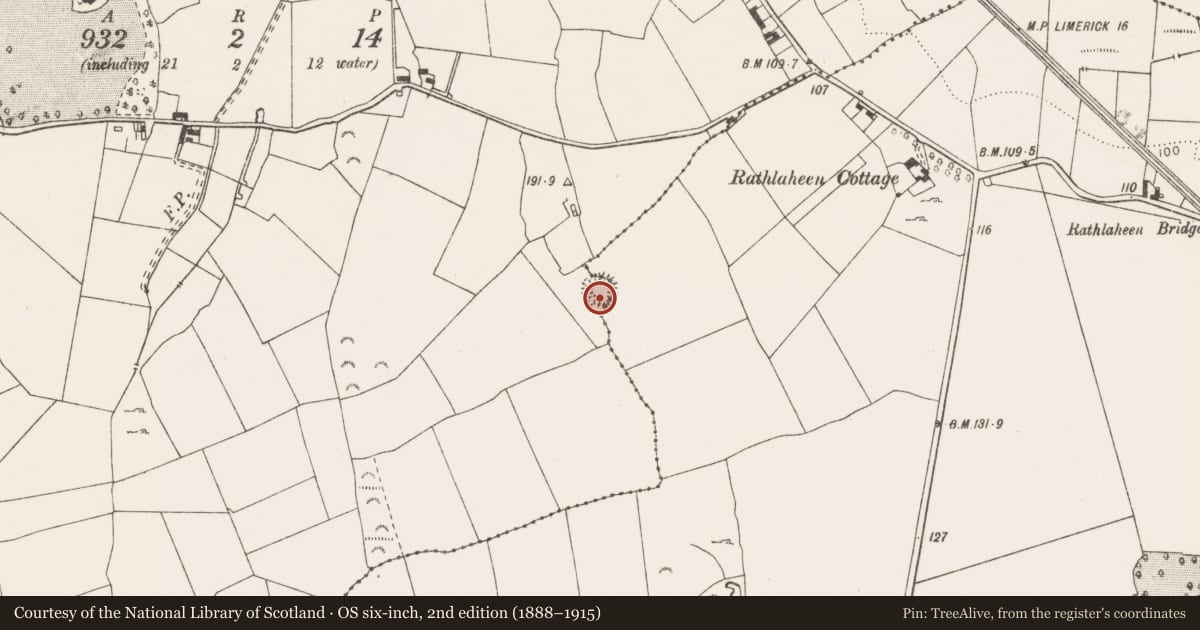 Ordnance Survey six-inch map, 2nd edition (1888–1915) covering the location of Ringfort - rath, Ballycar, Rathlaheen South, County Clare, with a pin at the register's coordinates