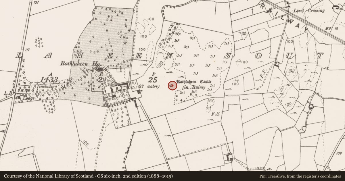 Ordnance Survey six-inch map, 2nd edition (1888–1915) covering the location of Castle - tower house, Rathlaheen South, County Clare, with a pin at the register's coordinates