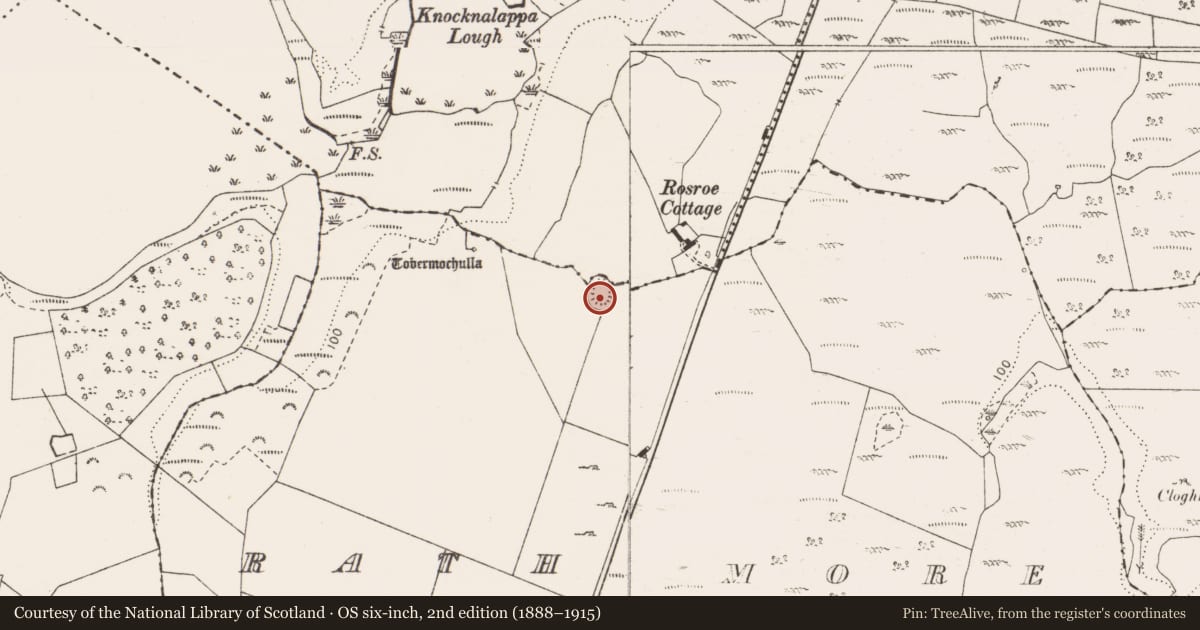 Ordnance Survey six-inch map, 2nd edition (1888–1915) covering the location of Enclosure, Rath More, County Clare, with a pin at the register's coordinates