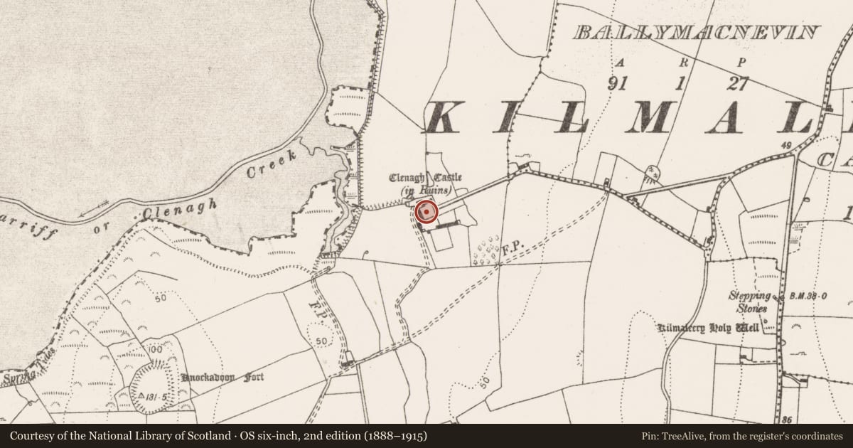 Ordnance Survey six-inch map, 2nd edition (1888–1915) covering the location of Bawn, Clenagh, County Clare, with a pin at the register's coordinates