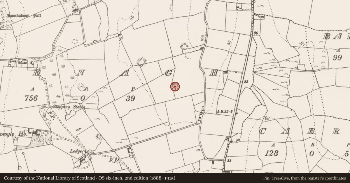 Ordnance Survey six-inch map, 2nd edition (1888–1915) covering the location of Enclosure, Clenagh, County Clare, with a pin at the register's coordinates