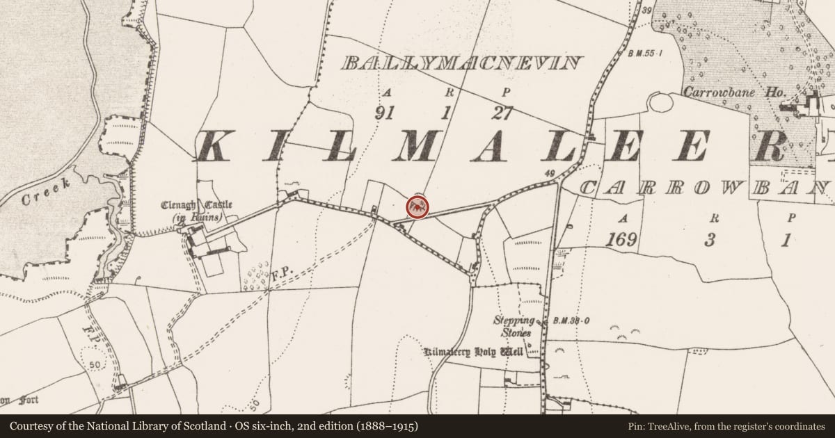 Ordnance Survey six-inch map, 2nd edition (1888–1915) covering the location of Enclosure, Ballymacnevin, County Clare, with a pin at the register's coordinates