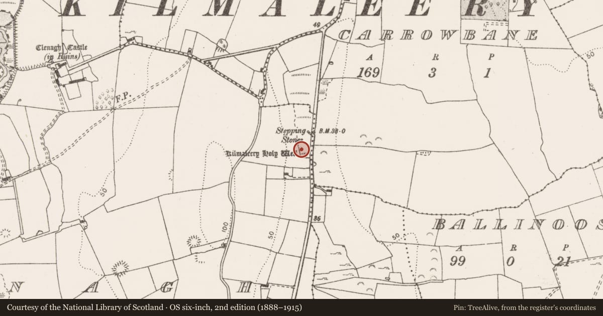 Ordnance Survey six-inch map, 2nd edition (1888–1915) covering the location of Ritual site - holy well, Clenagh, County Clare, with a pin at the register's coordinates